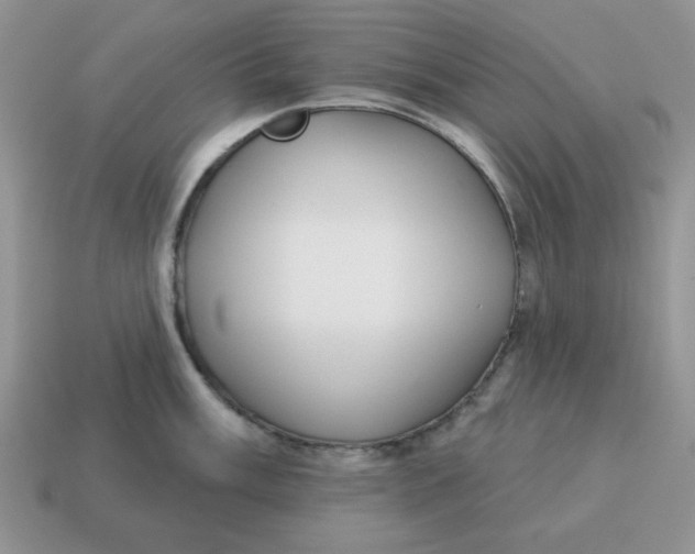 X0000114491003200911091044