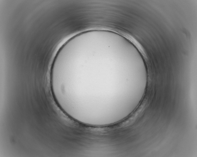 X0000114491004200911091044