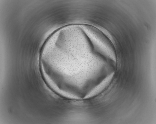 X0000114491006200911091044