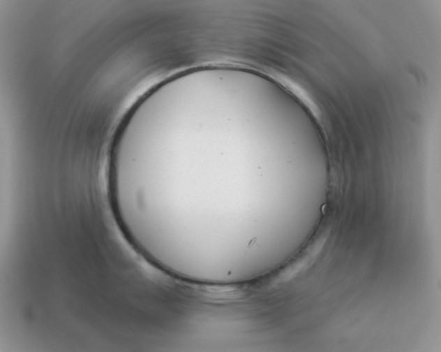 X0000114491007200911091044