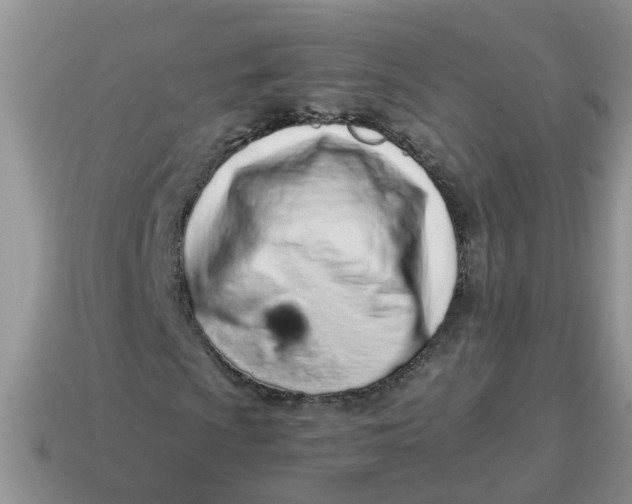 X0000114491009200911091044