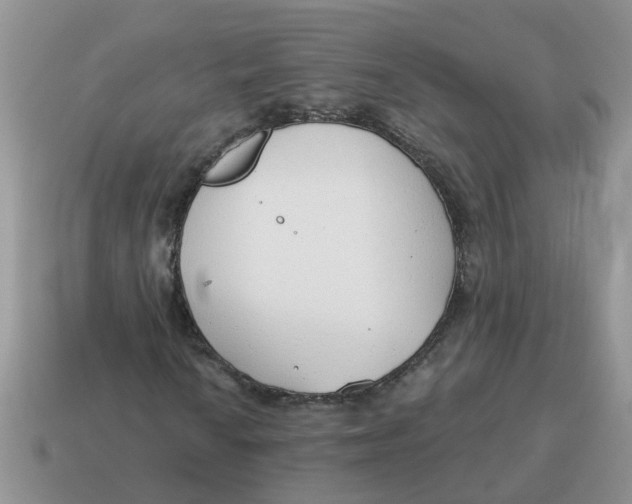 X0000114491010200911091044