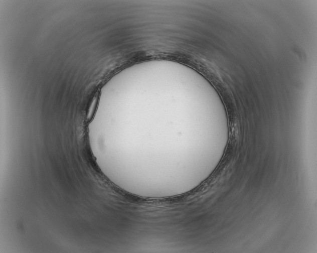 X0000114491012200911091044
