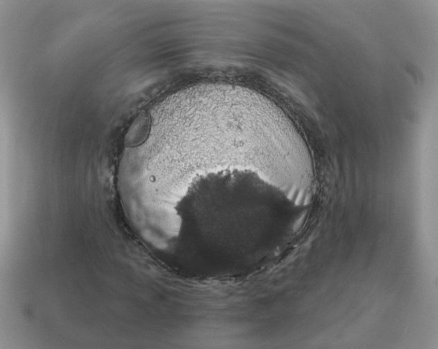 X0000114491013200911091044