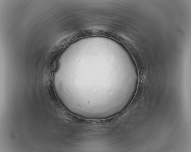 X0000114491014200911091044