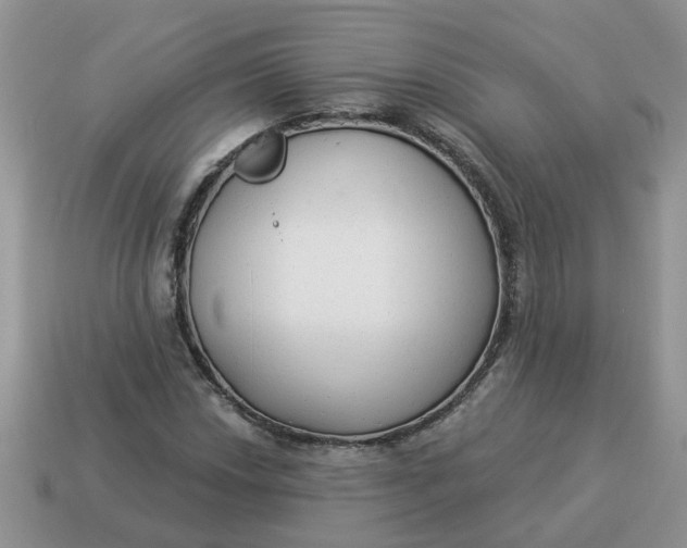 X0000114491018200911091044