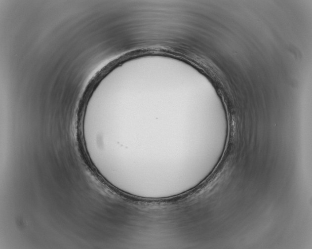 X0000114491020200911091044