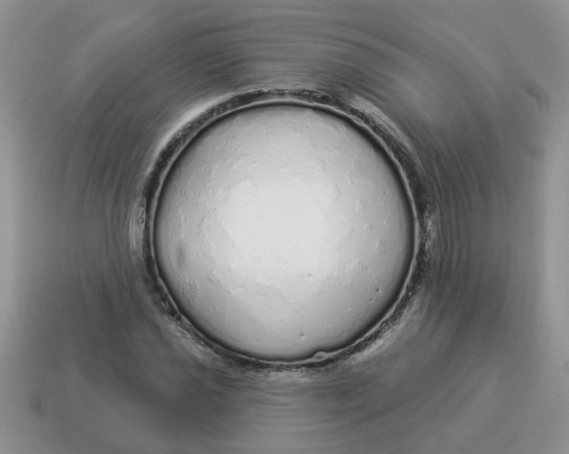 X0000114491021200911091044