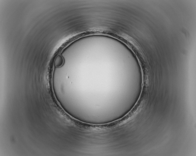 X0000114491022200911091044