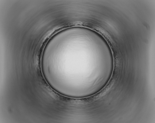 X0000114491023200911091044