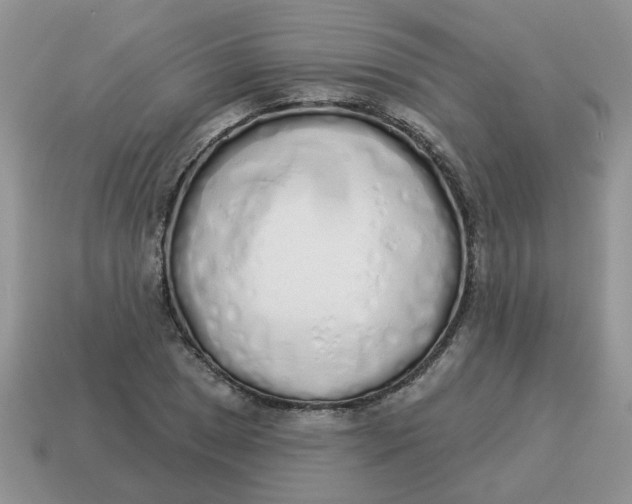 X0000114491025200911091044