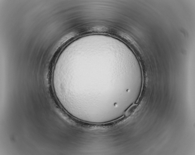 X0000114491026200911091044