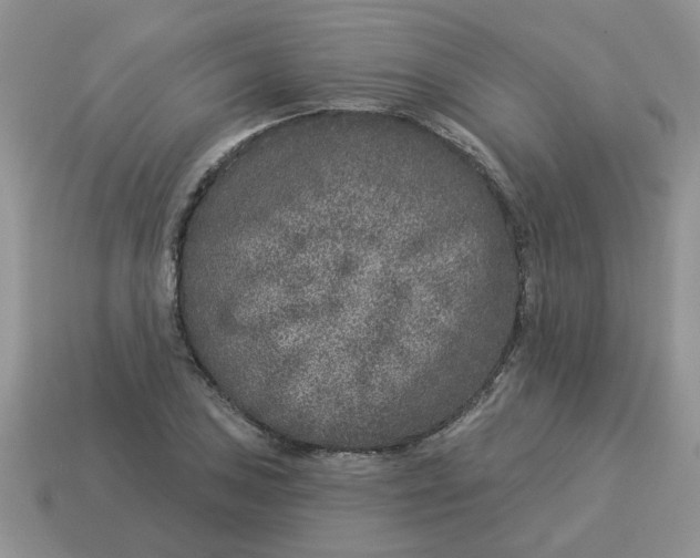 X0000114491027200911091044