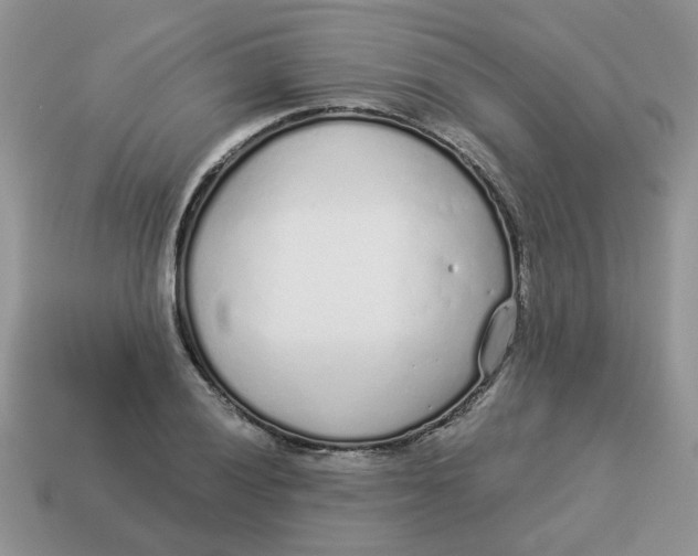 X0000114491028200911091044