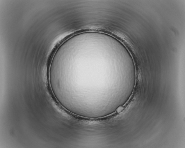 X0000114491030200911091044
