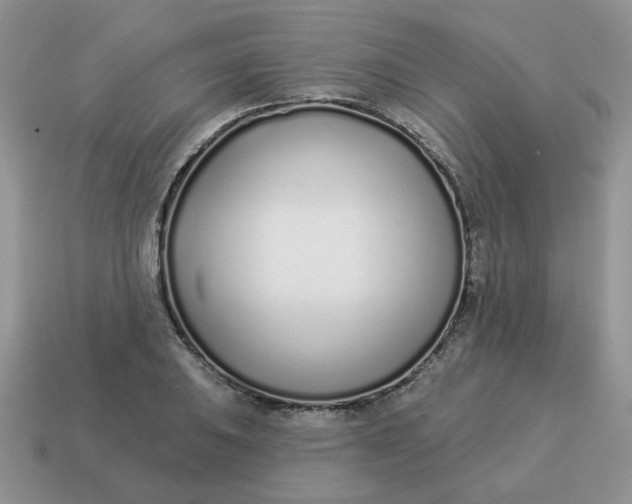 X0000114491031200911091044