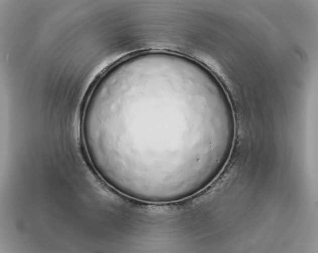 X0000114491032200911091044