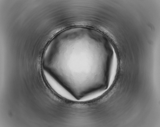 X0000114491033200911091044