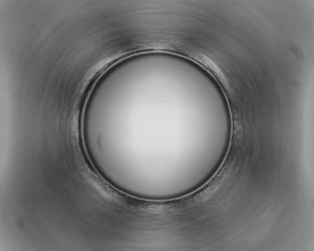 X0000114491035200911091044