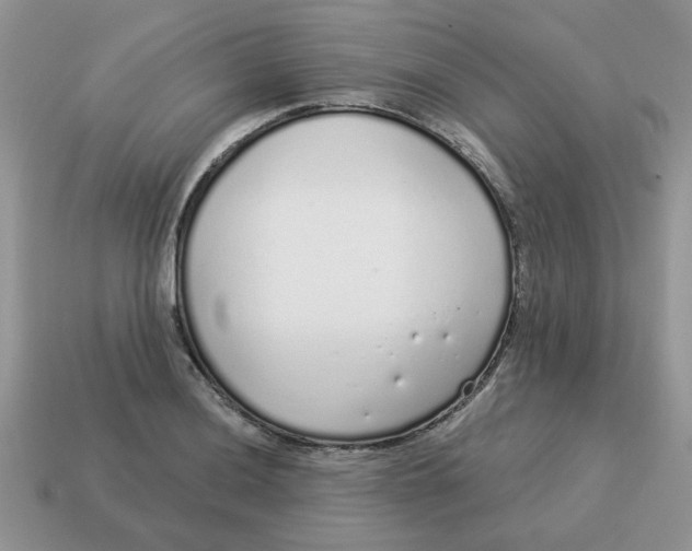 X0000114491036200911091044