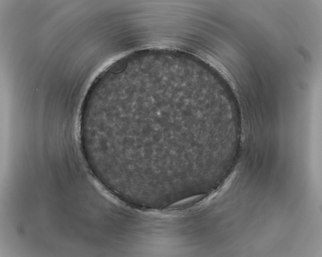 X0000114491037200911091044