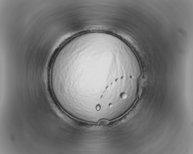 X0000114491038200911091044
