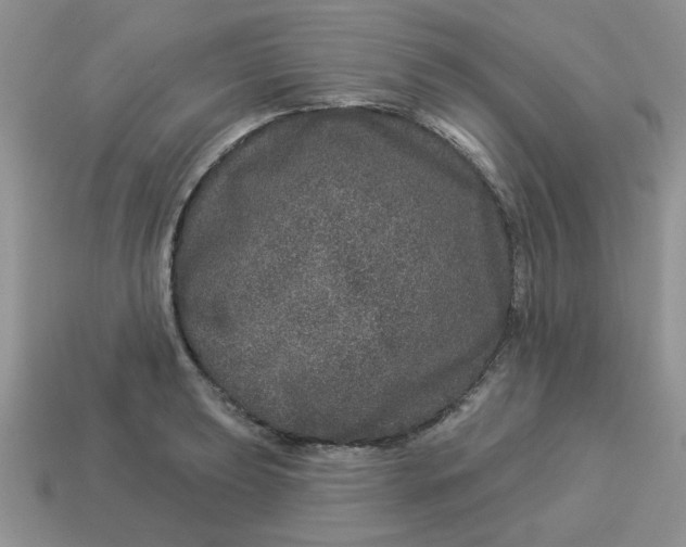 X0000114491039200911091044