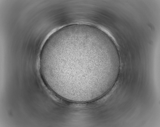 X0000114491040200911091044