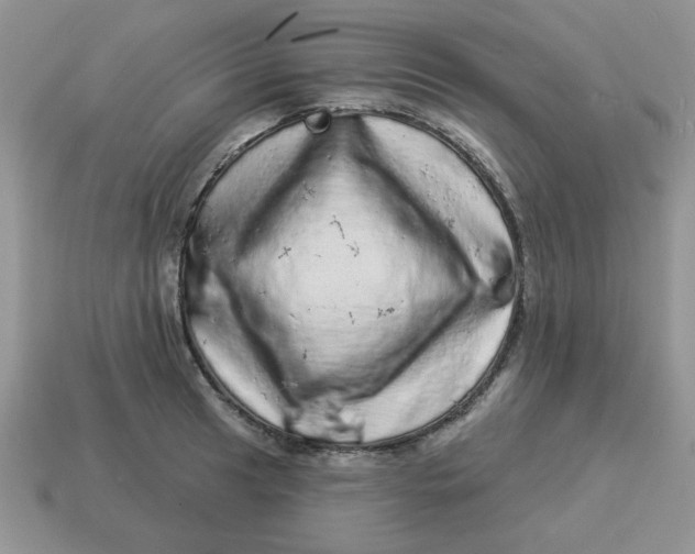 X0000114491041200911091044