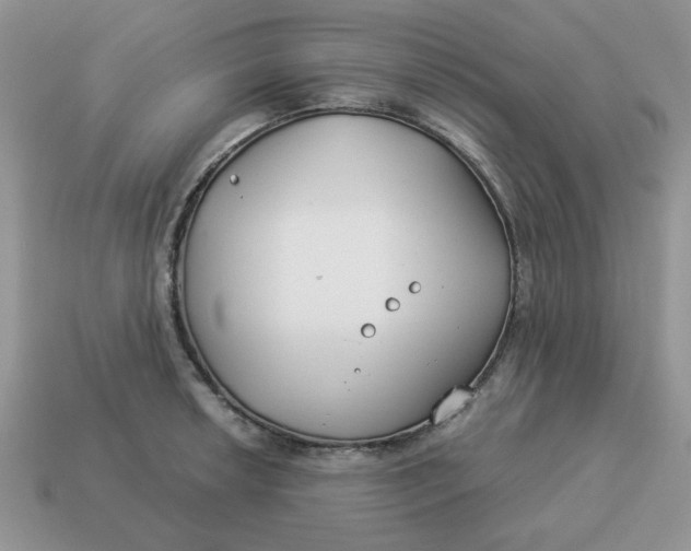 X0000114491042200911091044