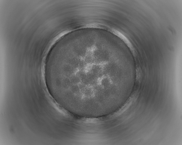X0000114491043200911091044
