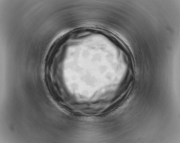 X0000114491045200911091044