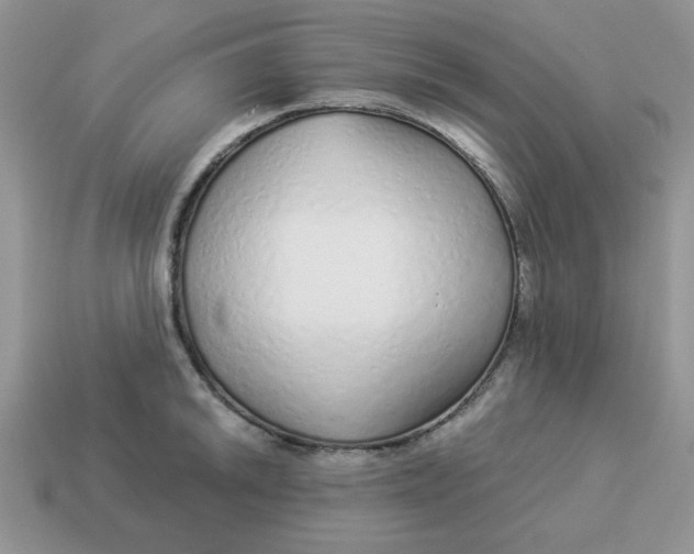 X0000114491046200911091044