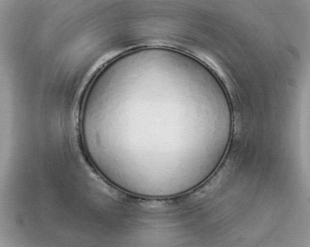 X0000114491048200911091044