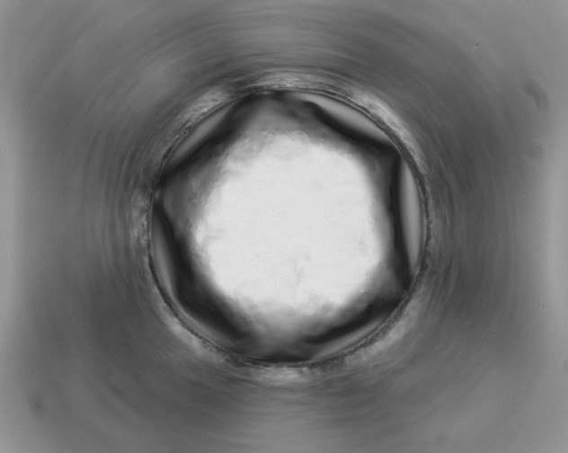 X0000114491049200911091044