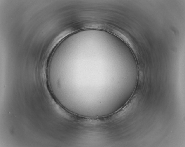X0000114491050200911091044