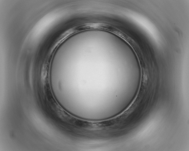 X0000114491052200911091044