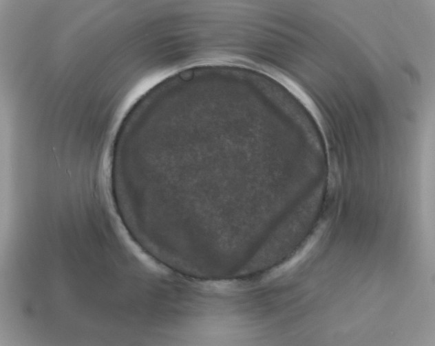 X0000114491053200911091044