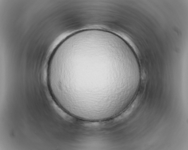 X0000114491054200911091044