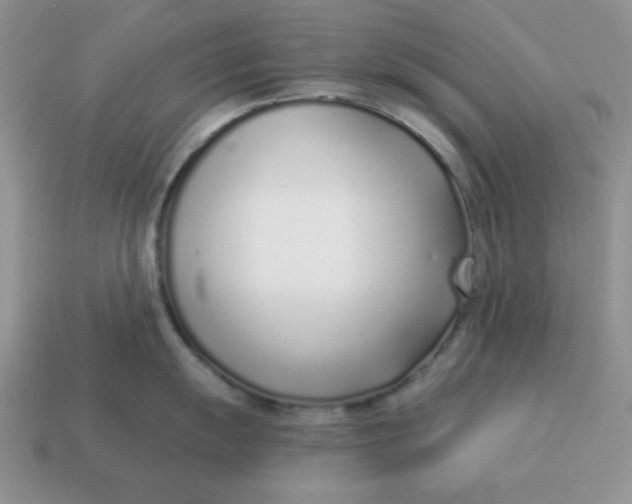 X0000114491055200911091044