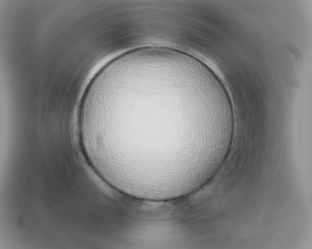 X0000114491056200911091044