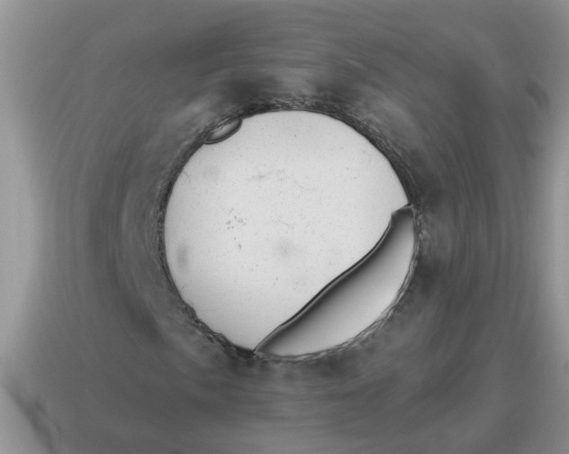 X0000114491057200911091044