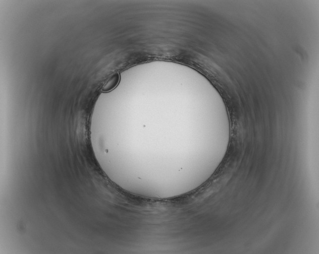 X0000114491058200911091044