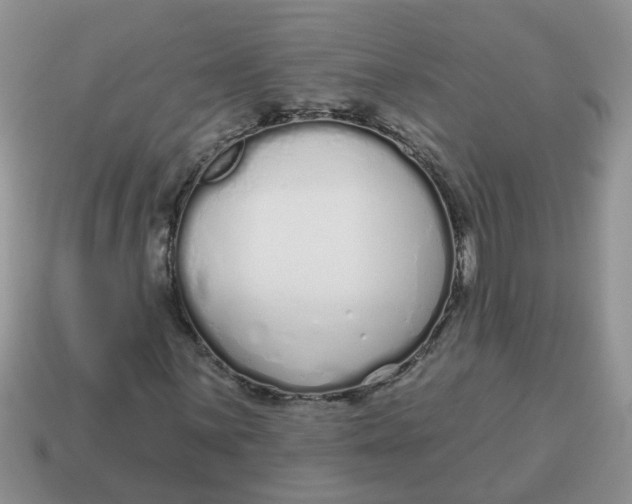 X0000114491059200911091044