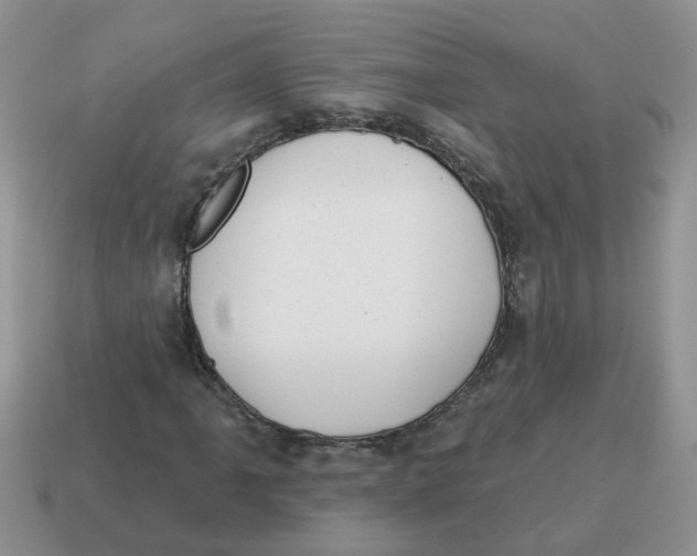 X0000114491061200911091044