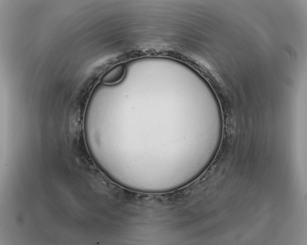 X0000114491063200911091044