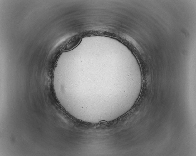 X0000114491064200911091044