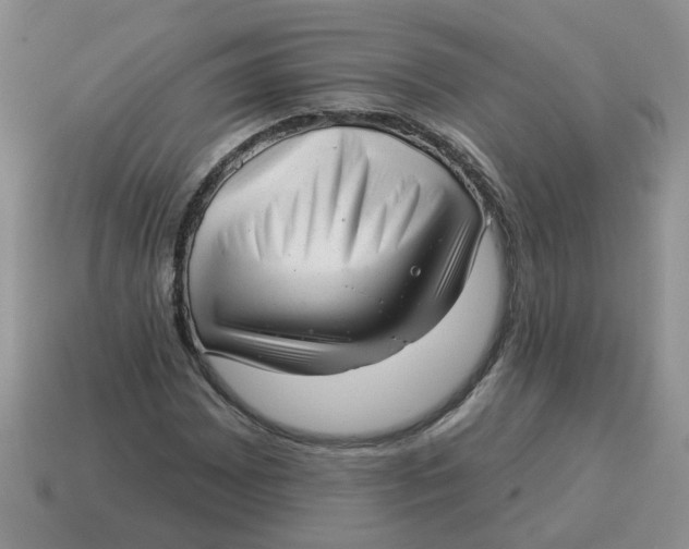X0000114491065200911091044
