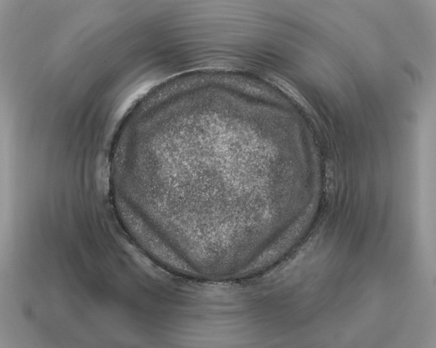 X0000114491067200911091044