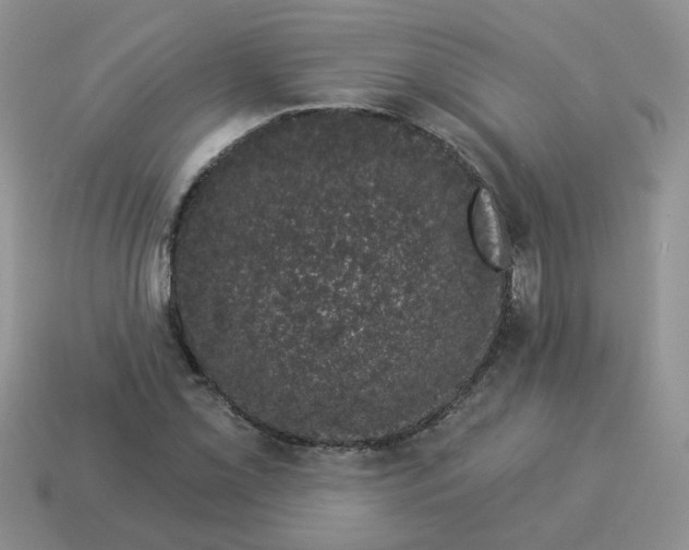 X0000114491069200911091044